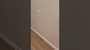 Покраска обоев в домах ПИК