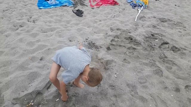 Царево 2017 смотреть онлайн