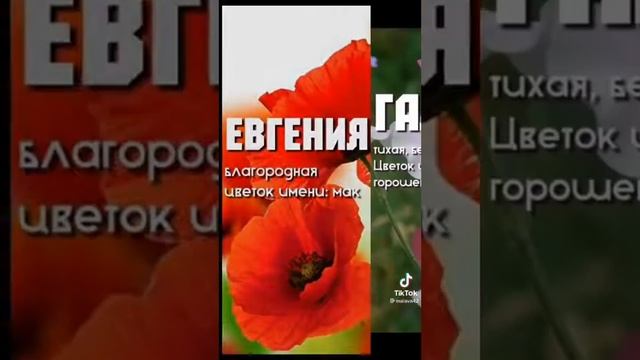 имена - ЦВЕТЫ смотреть онлайн