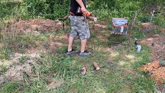 I Got the Cheapest 6 inch Mini Chainsaw on Amazon | Better than Saker? смотреть онлайн