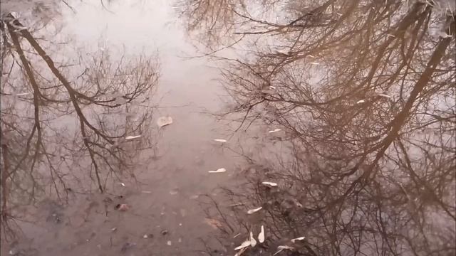 Отражение смотреть онлайн