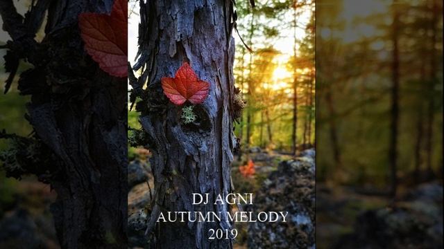 DJ AGNI - AUTUMN MELODY (2019)