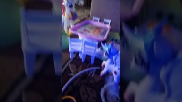 ПРИЕХАЛА В ГОСТИ ТЁТЯ СТАРЛАЙТ И ЛОТОС
