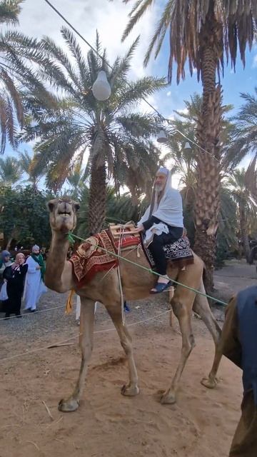 سفينة الصحراء смотреть онлайн