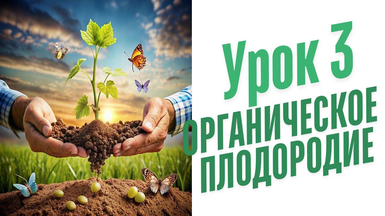 Природное земледелие. С чего начать? смотреть онлайн