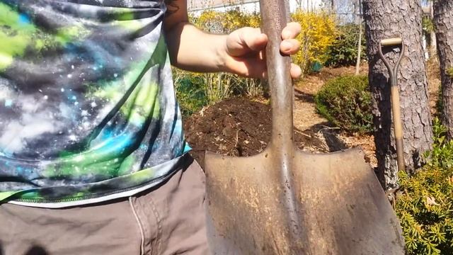 Composting and Preparing my Garden смотреть онлайн