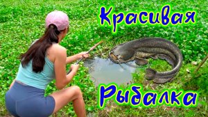 Красивая Рыбалка Девушка ловит крупную и сильную рыбу на поплавок в заросшем водоеме