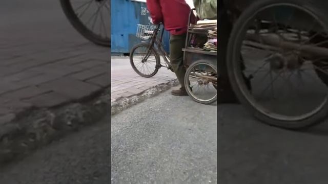 ખુબ સરસ કૂતરો смотреть онлайн