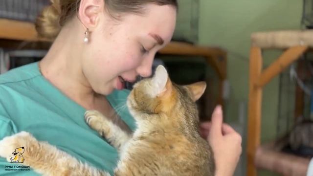 Молодая и яркая Хиппи ищет дом! смотреть онлайн
