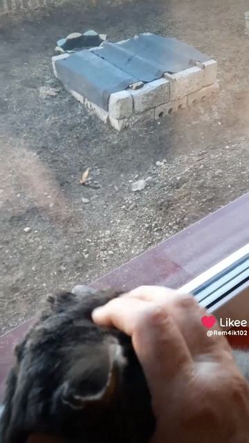 А за окном весна смотреть онлайн