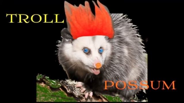 PUKE Punk ukulele смотреть онлайн