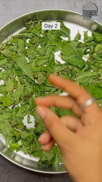 Homemade Mint seasoning powder🍃 #shorts #mintpowder #seasoningpowder #seasoning #homemade смотреть онлайн