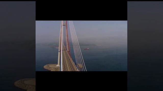 Three-day virtual tour смотреть онлайн