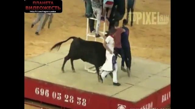 Красиво вырубил смотреть онлайн