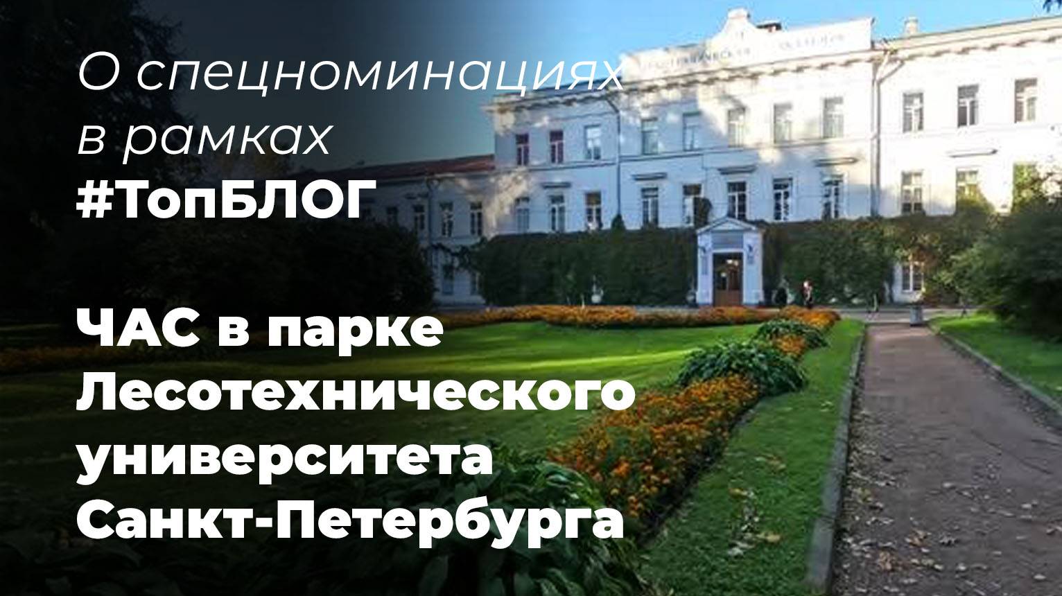 О спецноминациях в рамках #ТопБЛОГ - ЧАС в парке Лесотехнического университета Санкт-Петербурга смотреть онлайн