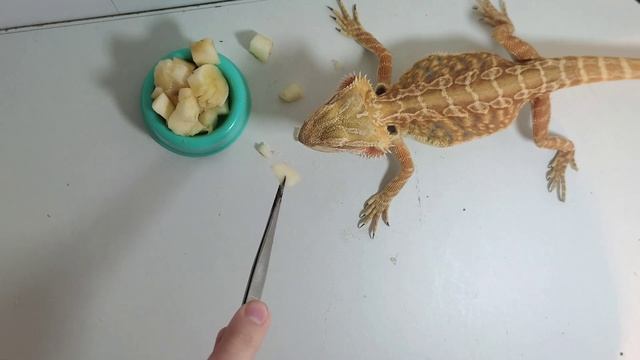 Яблочко🍎, бананчик 🍌