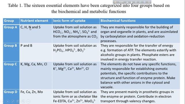 Plant Nutrition Tutorial 1 смотреть онлайн