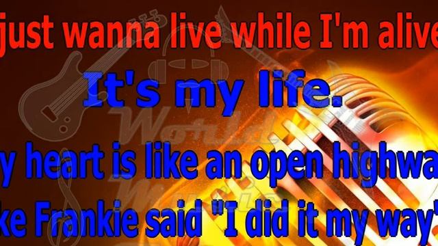BON JOVI Its my life смотреть онлайн