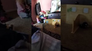 Alena's Horse stable.