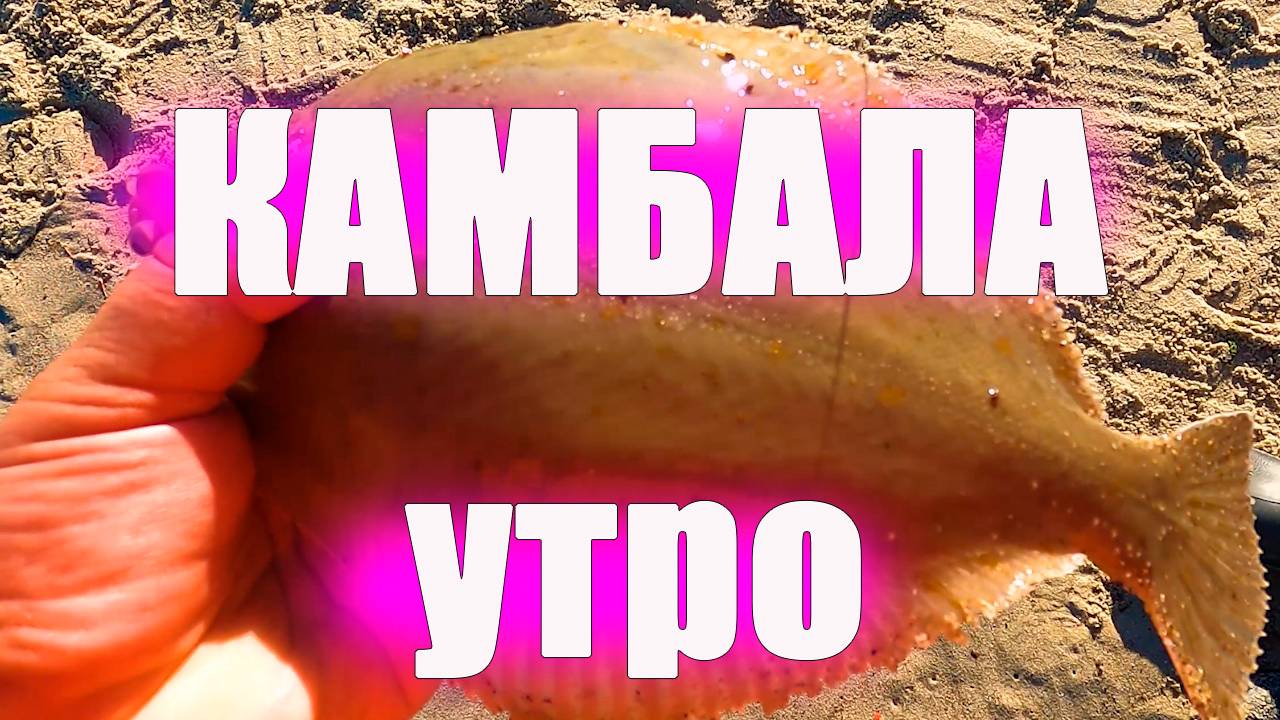 Камбала в п. Морском, Калининградская область смотреть онлайн