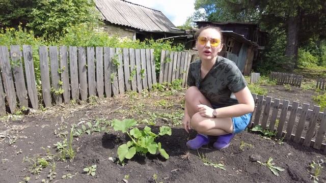 Отдых в деревне. смотреть онлайн