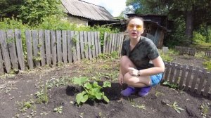 Отдых в деревне.