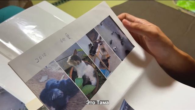 В гостях у родителей мужа японца! Реальная жизнь японцев в деревне