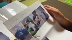 В гостях у родителей мужа японца! Реальная жизнь японцев в деревне