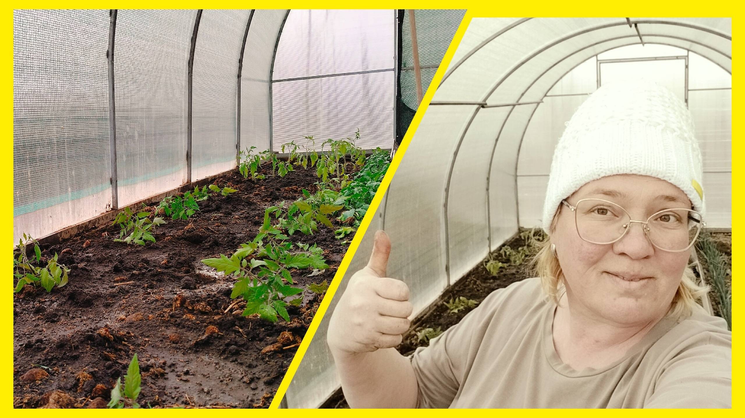 Как жить то с тобой!?Благословение на труд.Помидоры, мандарины.Роем ямы для других. смотреть онлайн