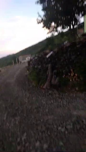 Дом в лесу смотреть онлайн