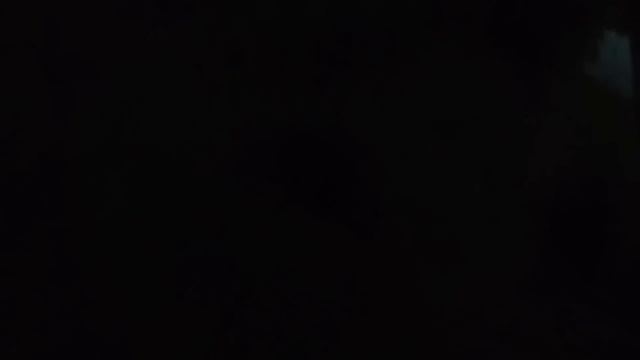 Caçada de javali dessa vez derrubei o porcão.. 2 disparos com SG смотреть онлайн