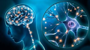 Матрица спокойствия и исцеления нервной системы. Матрица Гаряева.