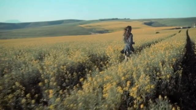 "На моей ладони" муз. К. Блюм сл. К. Неволиной, поёт М. Зорина. смотреть онлайн