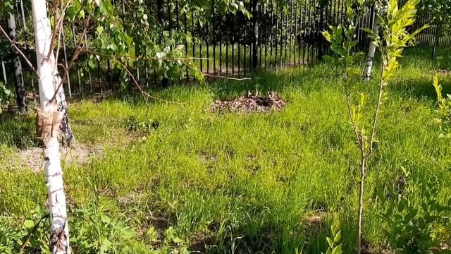 Шум лета | Июнь 2020 смотреть онлайн