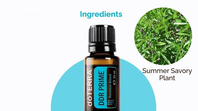 doTERRA DDR Prime Essential Oil-DEOWA Academy Group смотреть онлайн