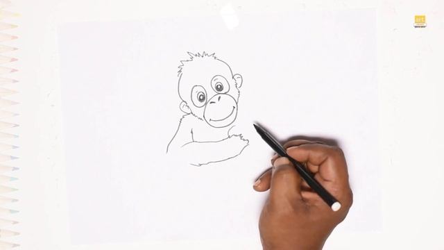 Little Orangutan Drawings | Orangutan Drawing How To Draw Baby Orangutan Step By Step | #artjanag