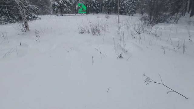 📍Вынос границ участка #кадастровыеработы #екатеринбург смотреть онлайн