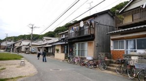 Кошачий остров в Японии, где больше кошек чем людей