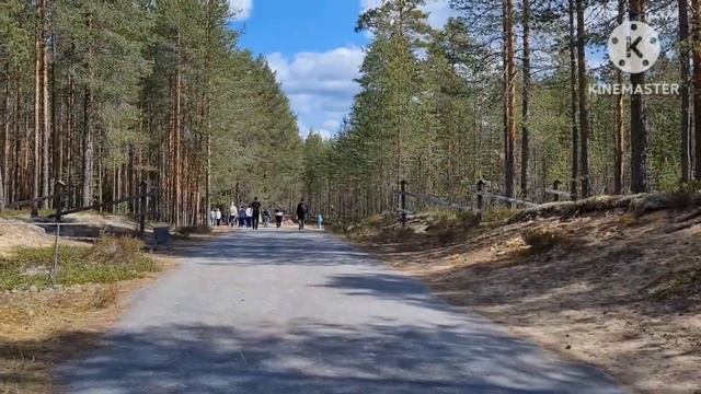 МЕДВЕЖЬЕГОРСК урочище "САНДАРМОХ " смотреть онлайн