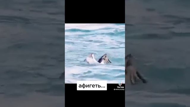 10 сентября 2022 г. смотреть онлайн