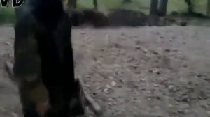 Блиндаж. Постройка