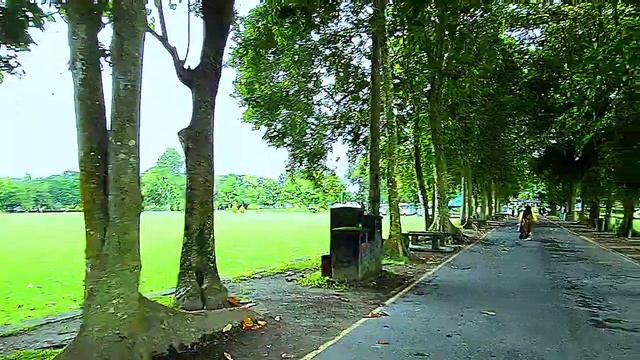 Lyric song Mandy my dear by The Cats смотреть онлайн