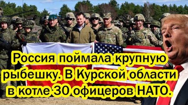 Россия поймала крупную рыбешку. В Курске в котле 30 офицеров НАТО. Путин их так просто не отпустит! смотреть онлайн