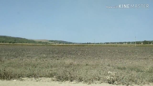 Разведка боем , поиск голубя 01.09.2019 смотреть онлайн