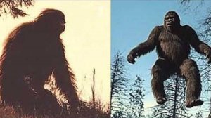 Шокирующие КАДРЫ СНЕЖНОГО ЧЕЛОВЕКА