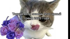 Танцуй если знаешь этот новый
 тренд 2025 года