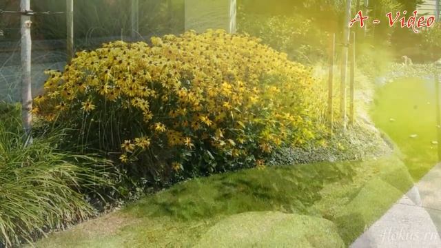 Украшение сада 190 Идей для воплощения на своём участке / Garden Decoration 190 Ideas to Implement смотреть онлайн