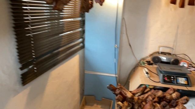 Cало всему голова!!! смотреть онлайн