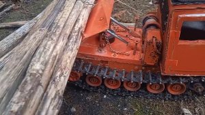,, заготовка леса тт-4 трелёвочник