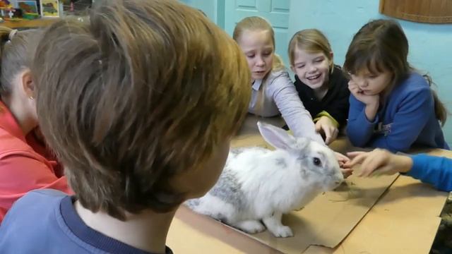 Наши питомцы смотреть онлайн